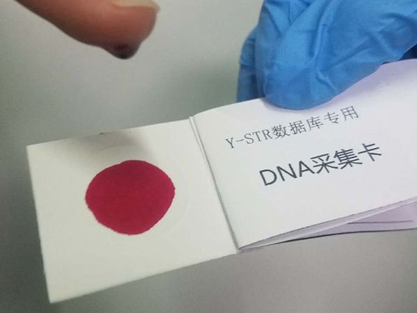 Y-STR DNA数据库专用DNA采集卡