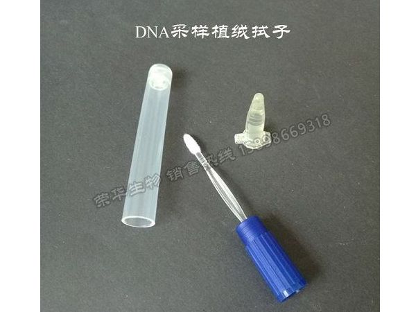 DNA检测采集植绒套装