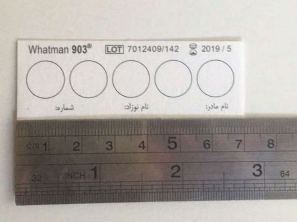 新生儿DNA采血及查询